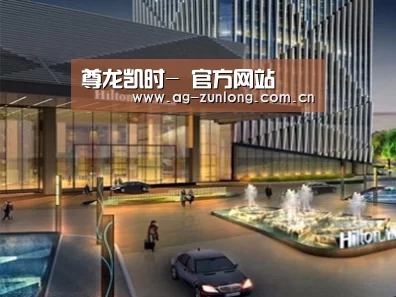 案例展示二